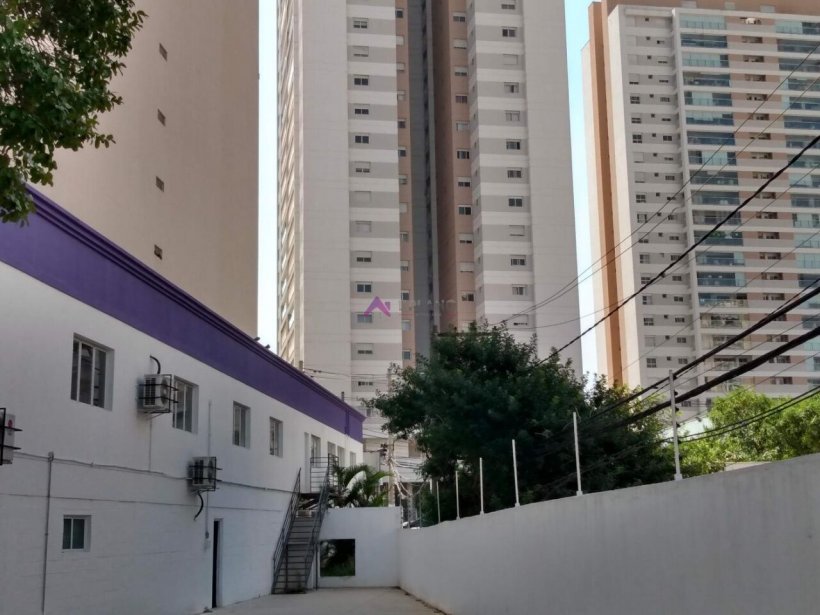 PP1668004.jpg