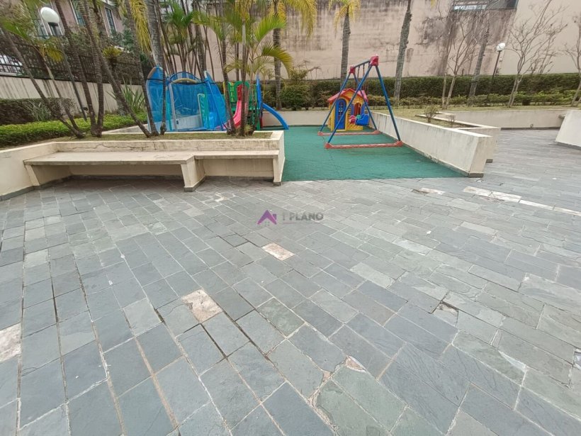PP1721008.jpg