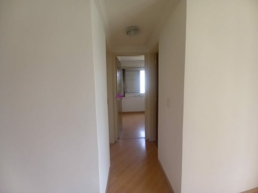PP532021.jpg