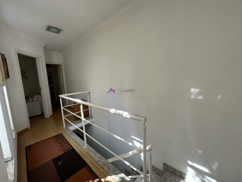 PP459020.jpg