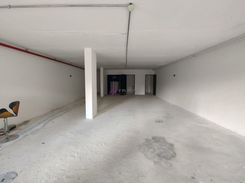 PP1639010.jpg