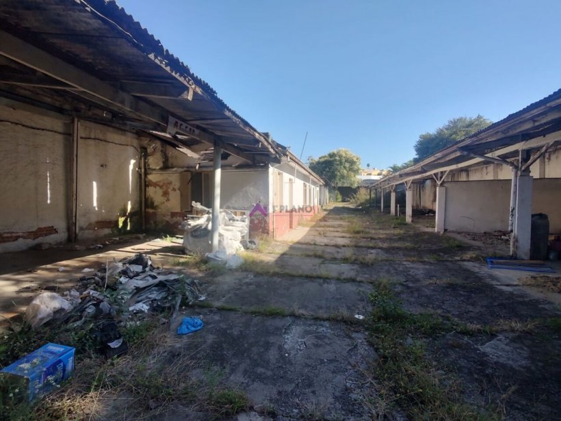 PP1712009.jpg