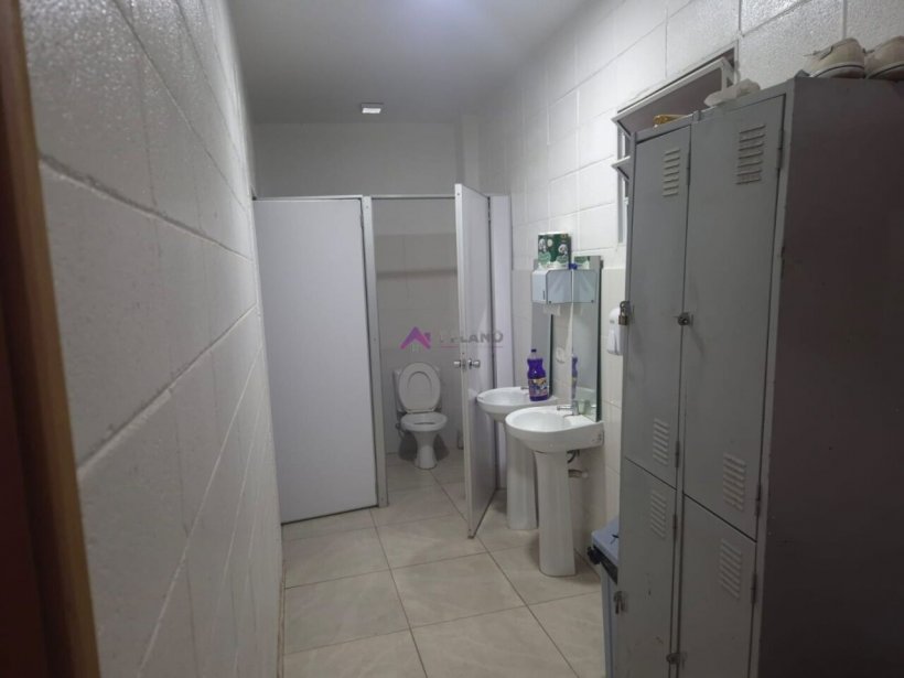 PP1736013.jpg