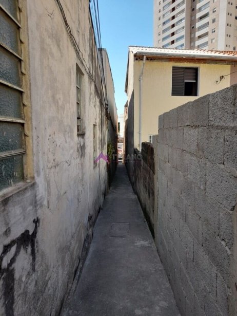 PP1722008.jpg