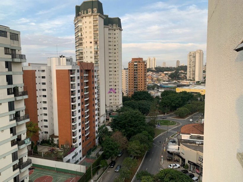 PP1579023.jpg