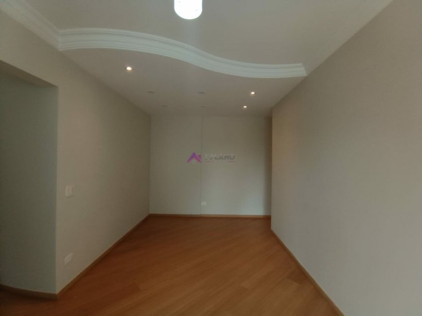 PP81019.jpg