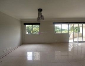PP329010.jpg