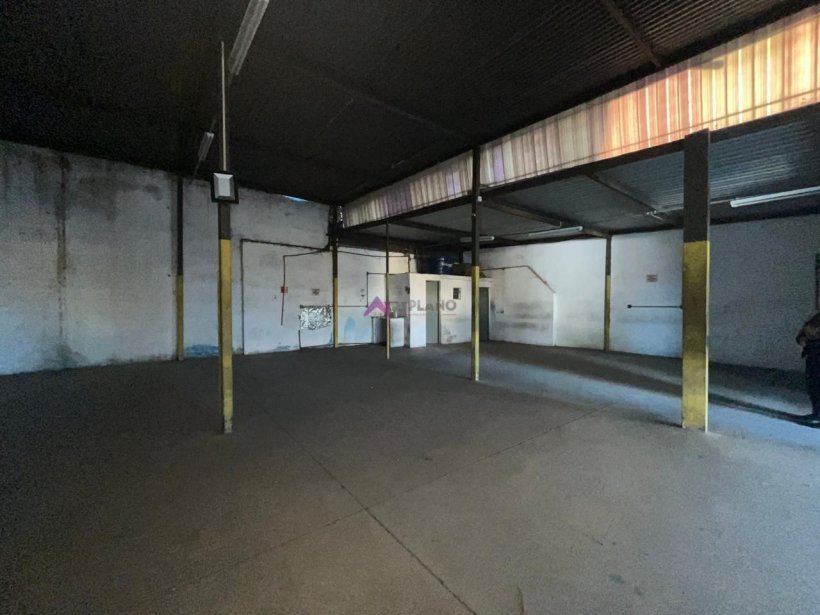 PP1727005.jpg