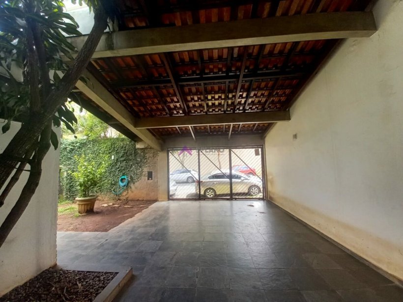 PP286017.jpg