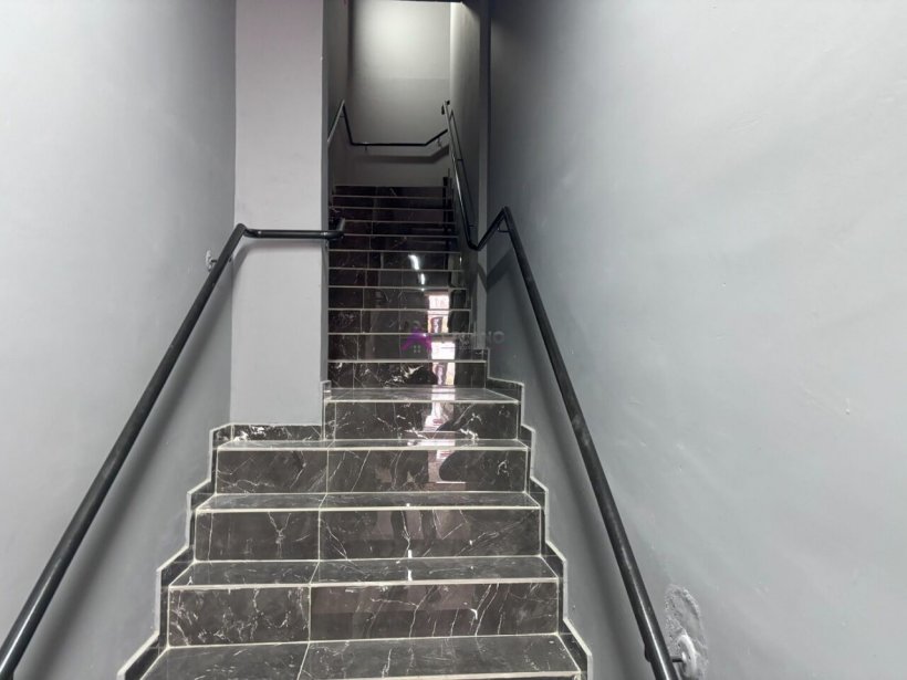 PP1649003.jpg