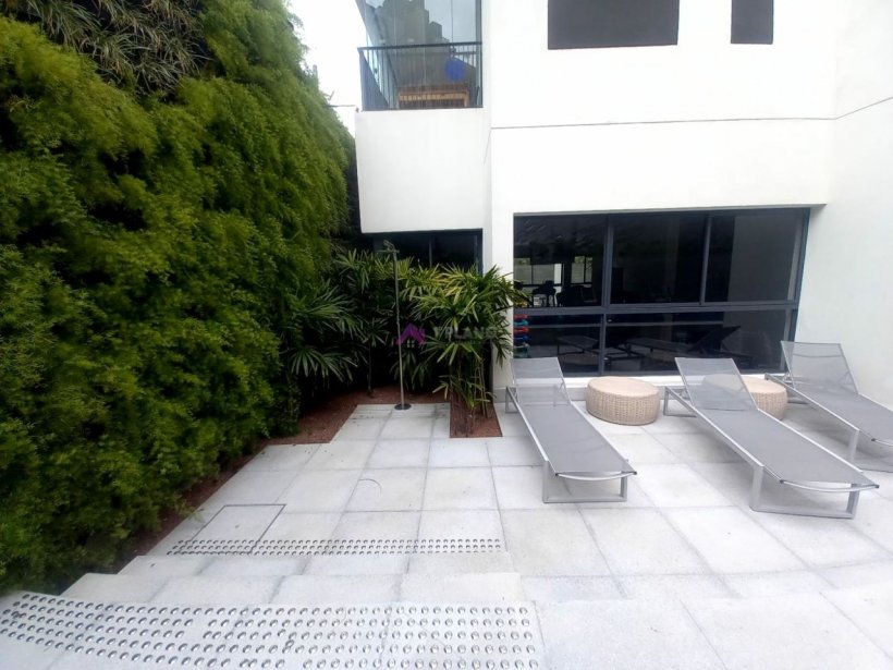 PP449021.jpg