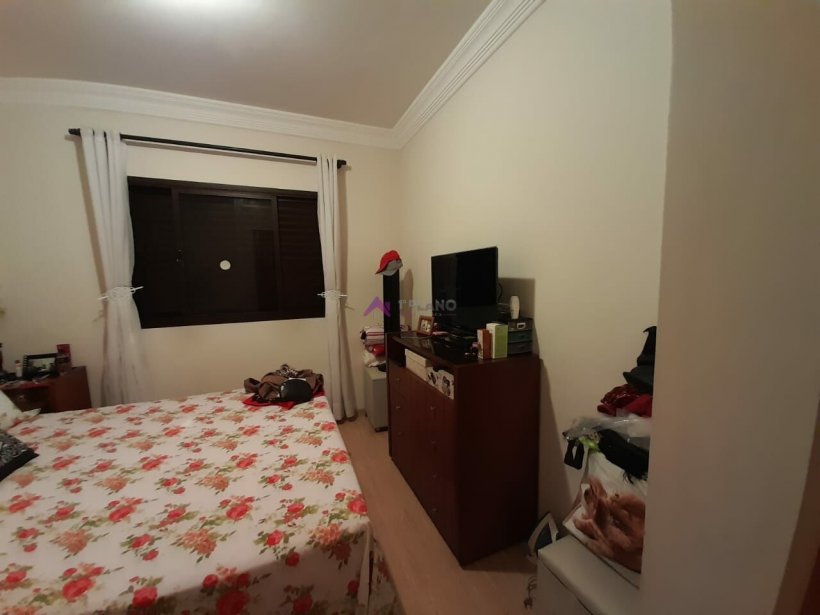 PP1564004.jpg