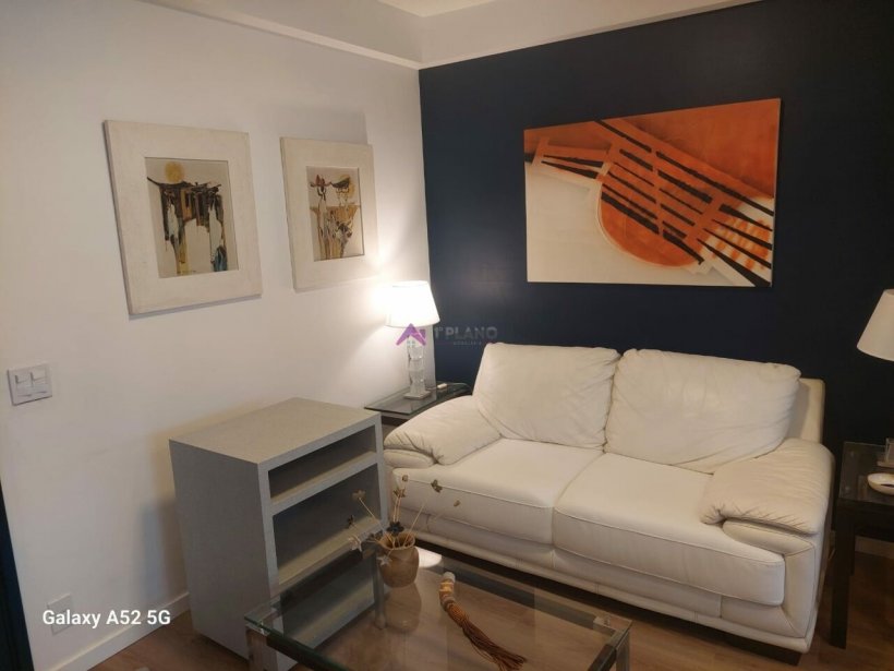 PP1560001.jpg