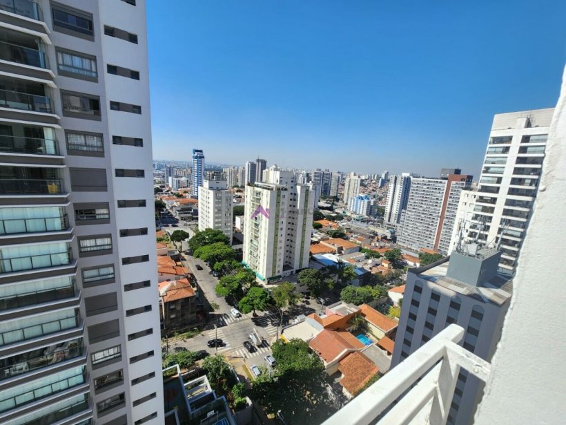 PP806009.jpg