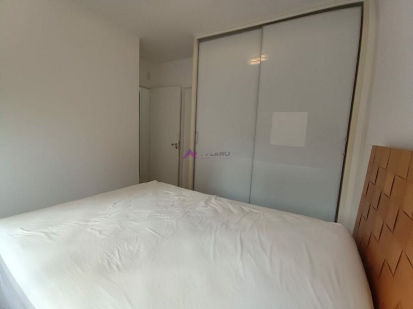PP1125016.jpg