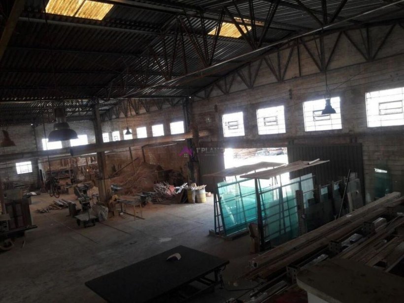 PP1655014.jpg