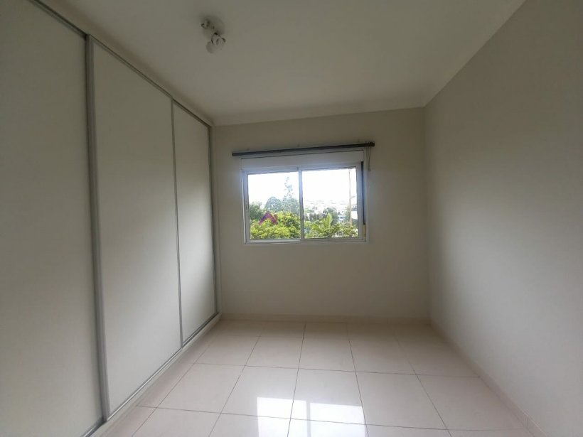 PP329015.jpg