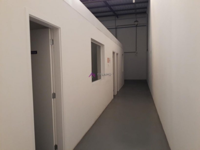 PP1670016.jpg