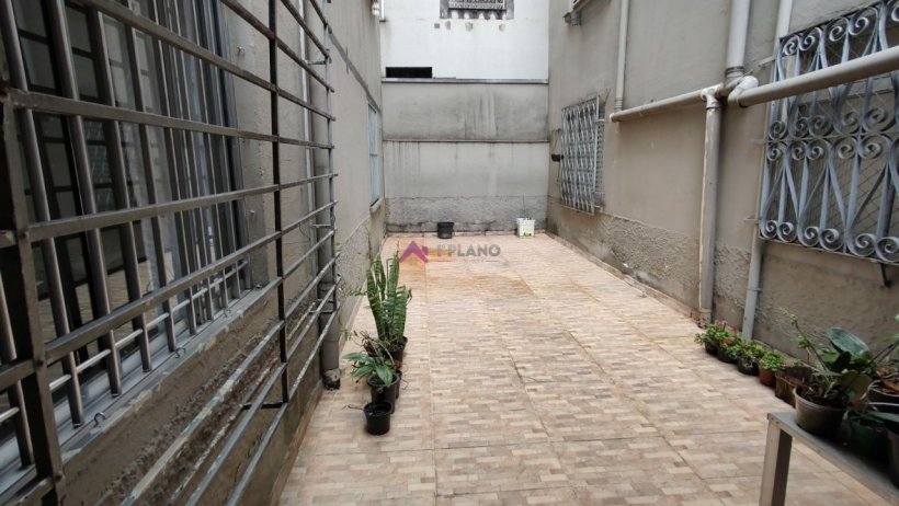 PP499005.jpg