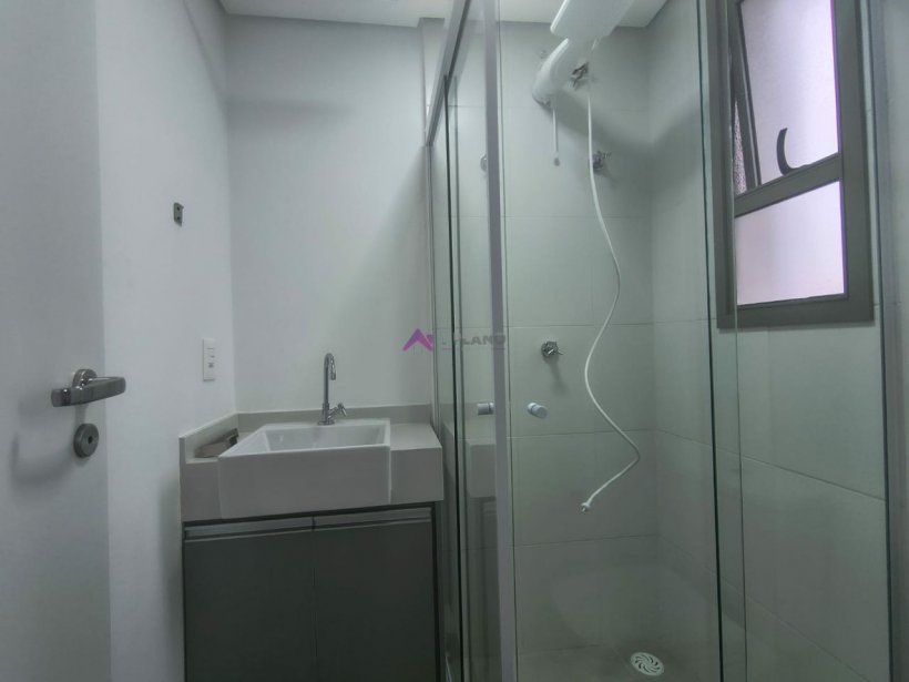 PP1539009.jpg