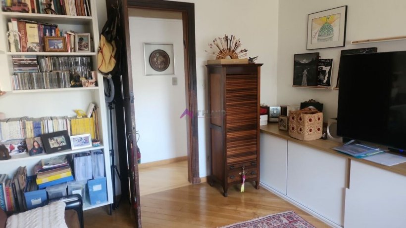 PP1577015.jpg
