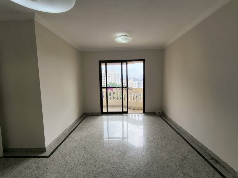 PP236035.jpg