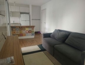 PP1481019.jpg