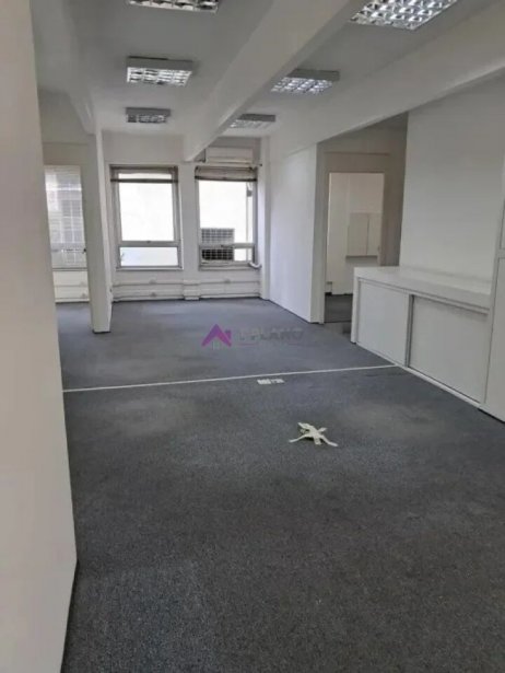 PP1820005.jpg