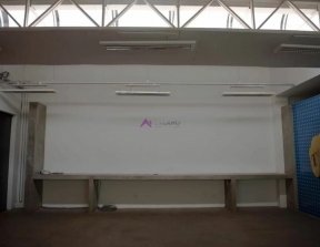PP1831006.jpg