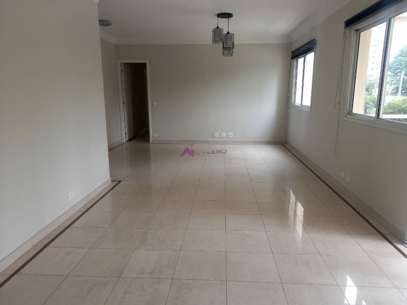 PP329008.jpg