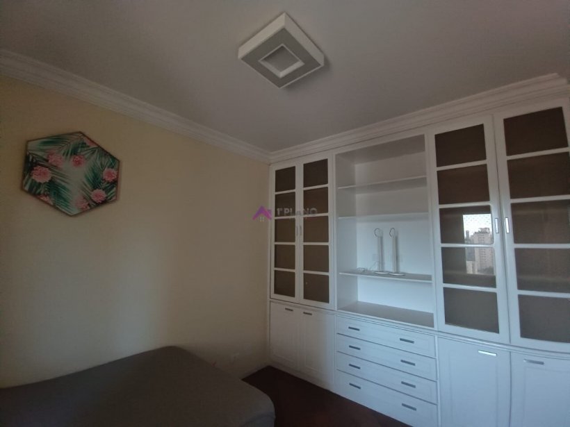 PP1626026.jpg