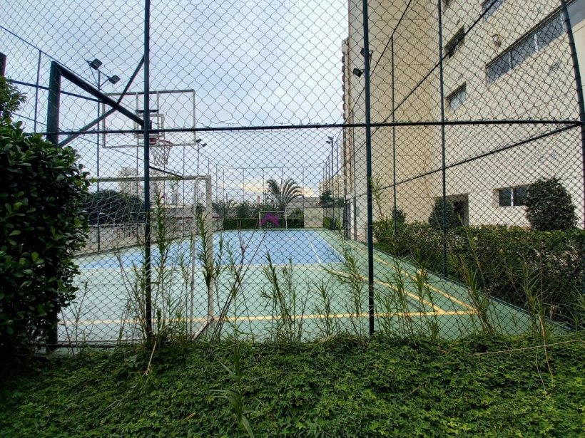 PP329030.jpg