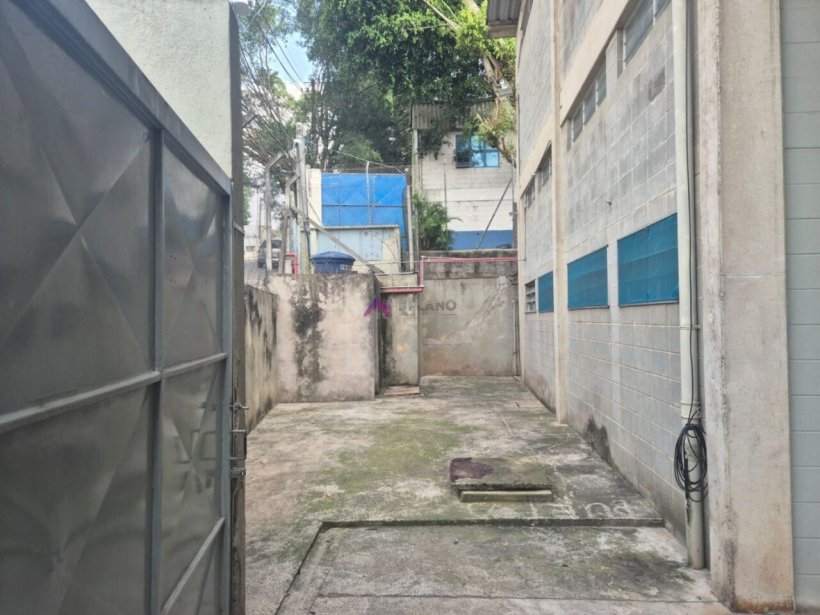 PP1705012.jpg