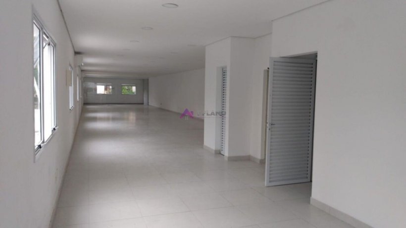 PP1668016.jpg