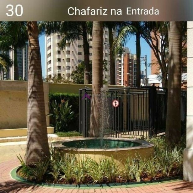 PP248020.jpg