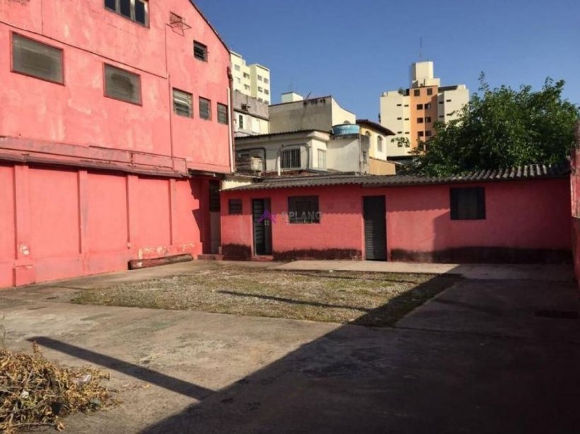 PP1646016.jpg