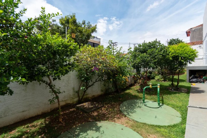 PP1773028.jpg