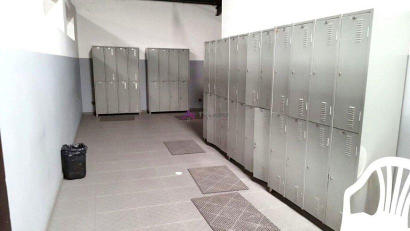 PP1698018.jpg
