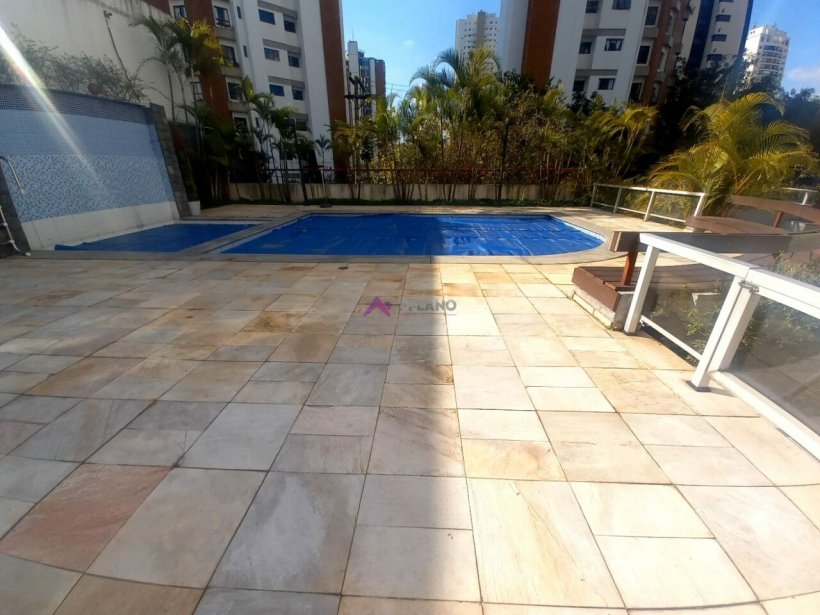 PP454031.jpg