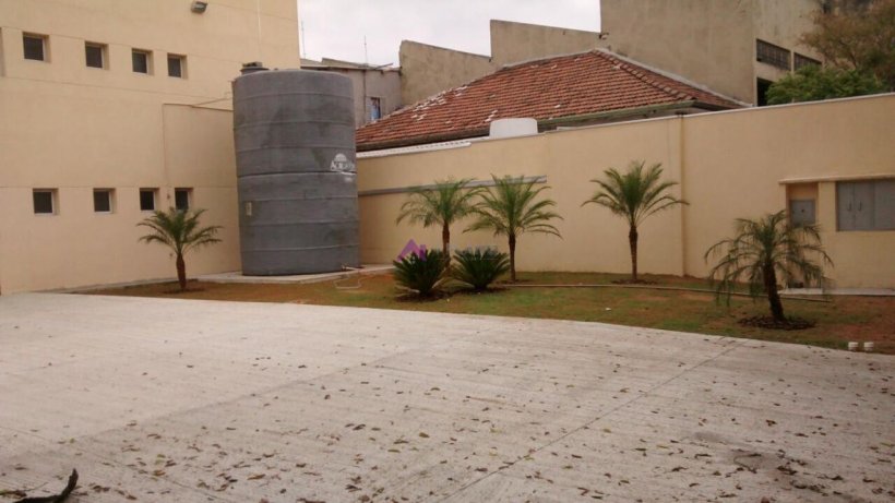 PP1673013.jpg