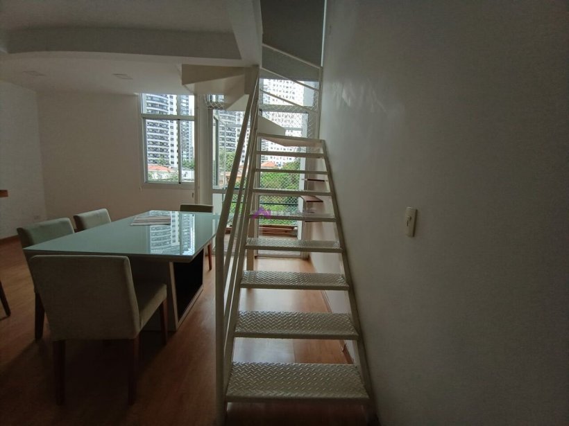 PP524025.jpg