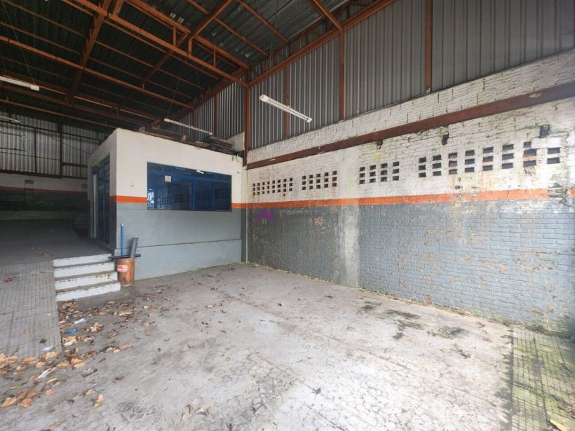 PP1722023.jpg