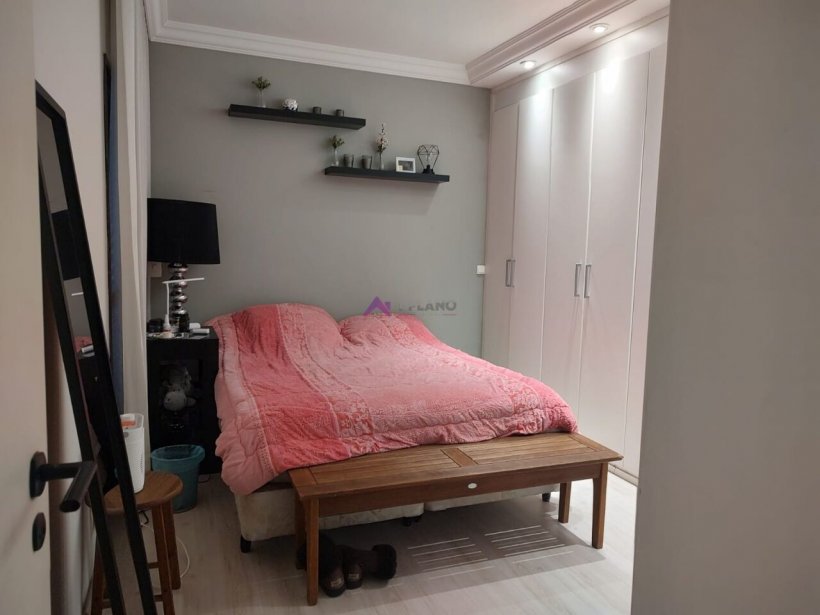 PP1839019.jpg