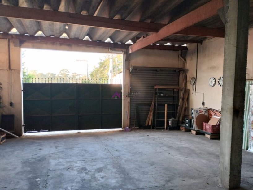 PP1703012.jpg