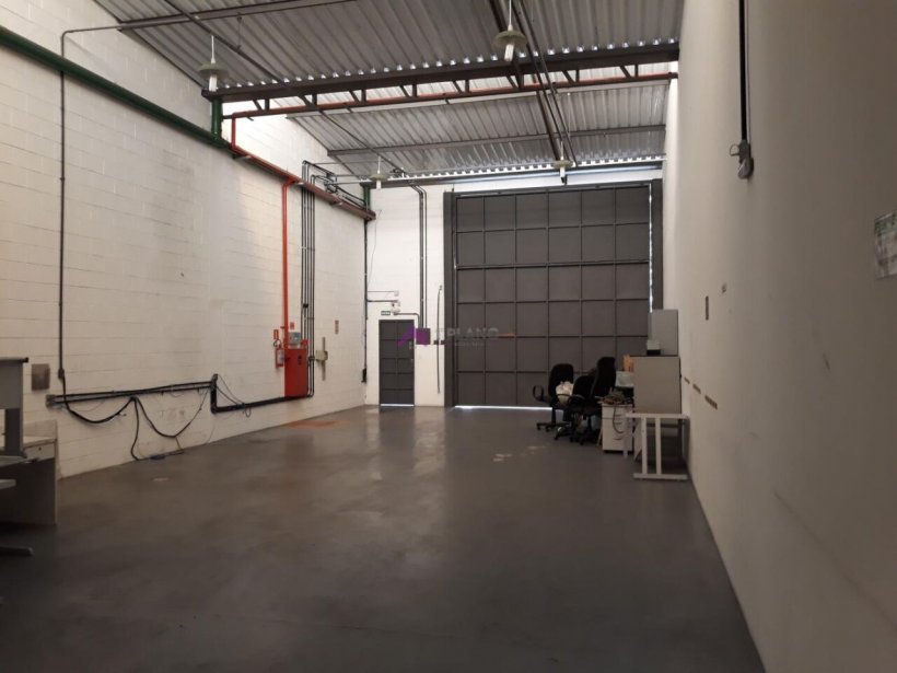 PP1670007.jpg