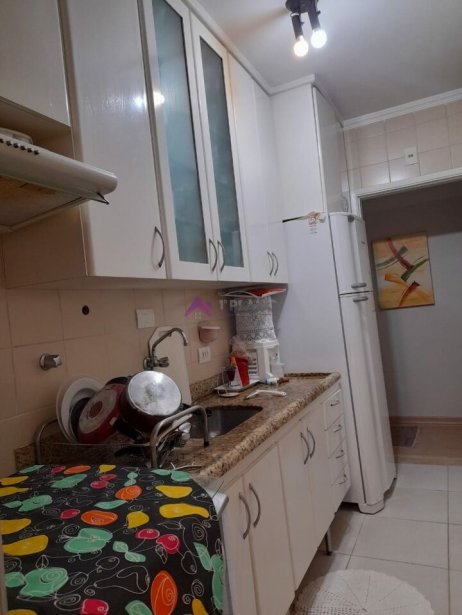 PP1564019.jpg