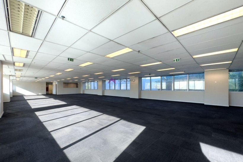 PP1814015.jpg