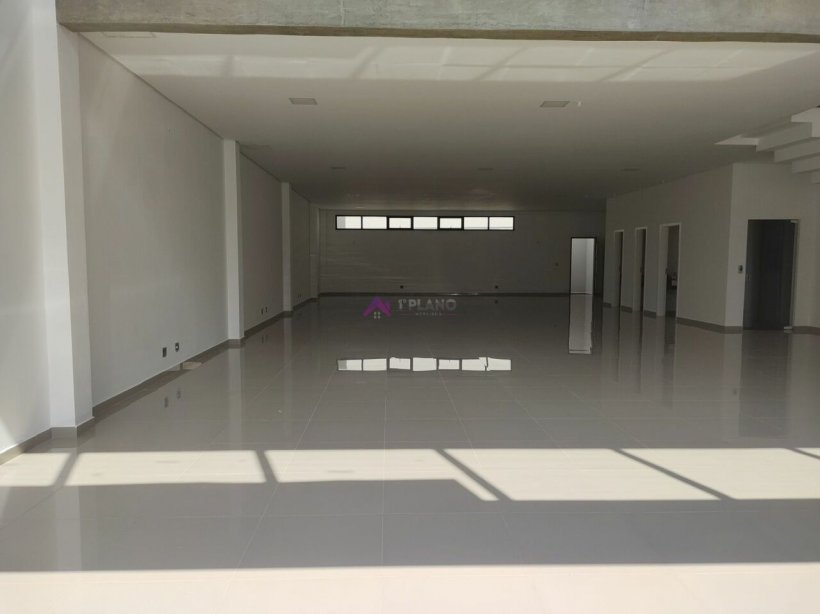 PP1259006.jpg
