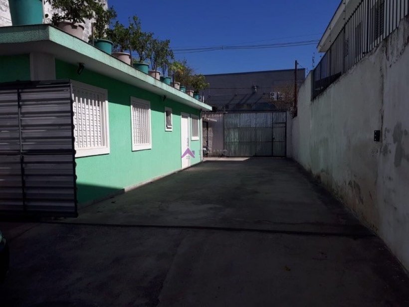 PP1687011.jpg