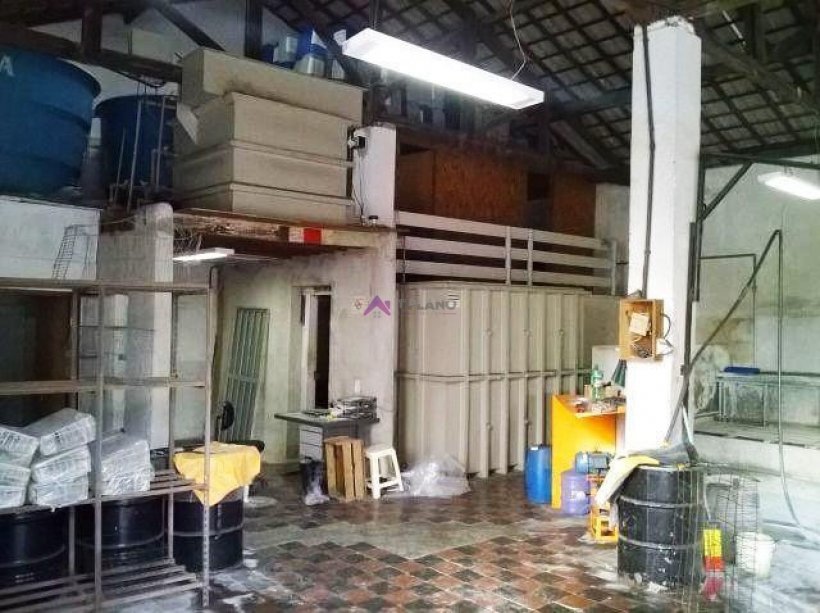 PP1650009.jpg
